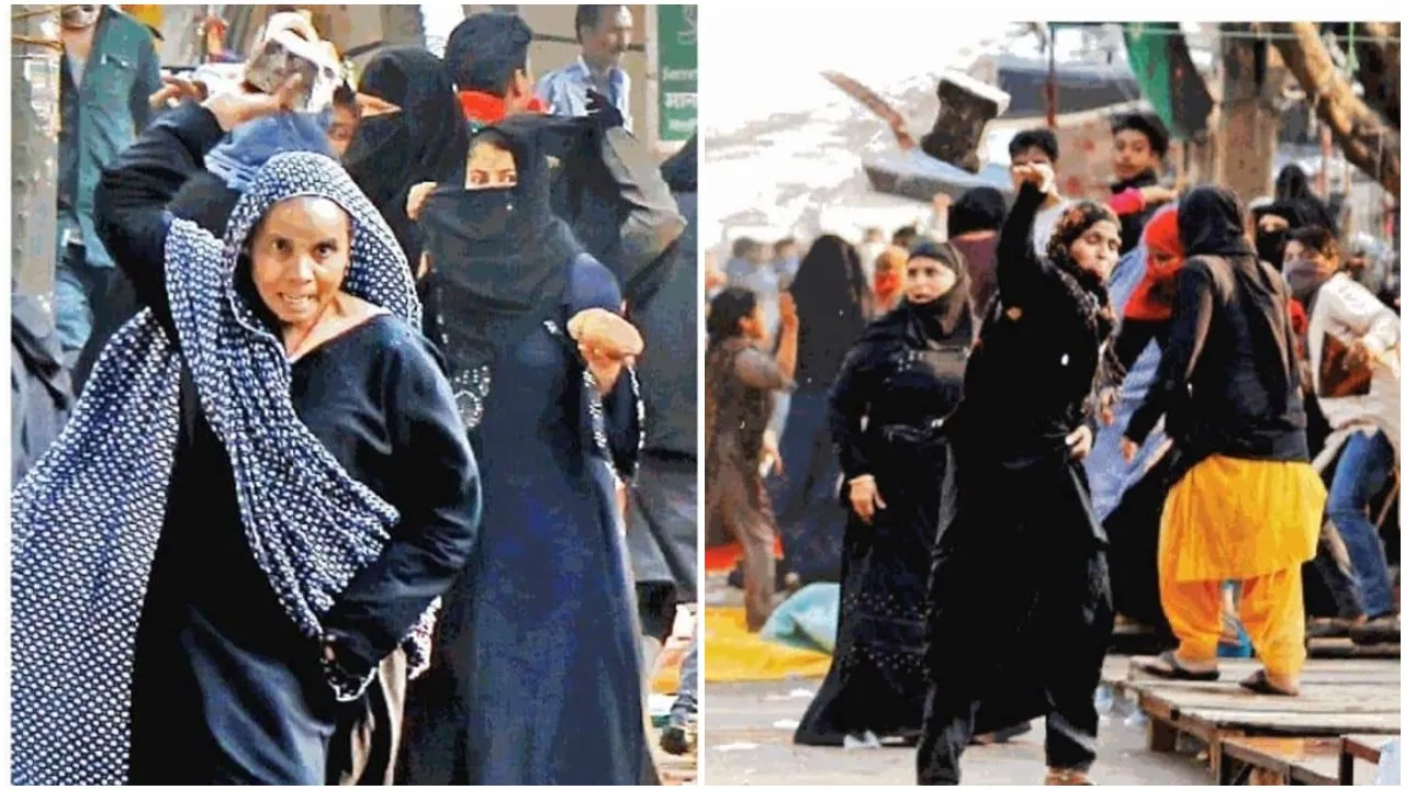 दिल्ली हिंसा: बुर्का पहने ईंट-पत्थर चला रही हैं महिलाएं, कॉलमनिस्ट ने ट्विटर पर शेयर की तस्वीरें