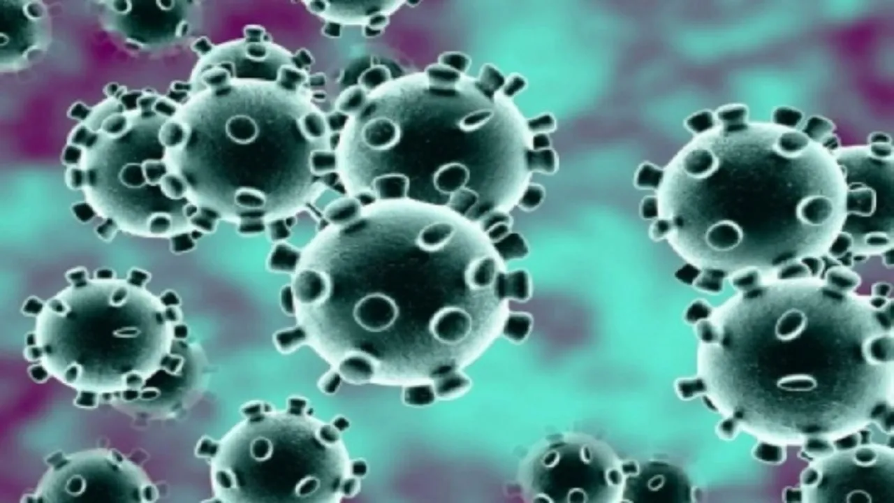 Coronavirus