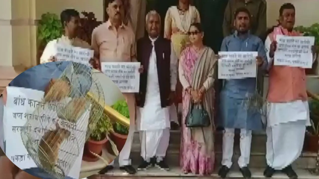 RJD mla