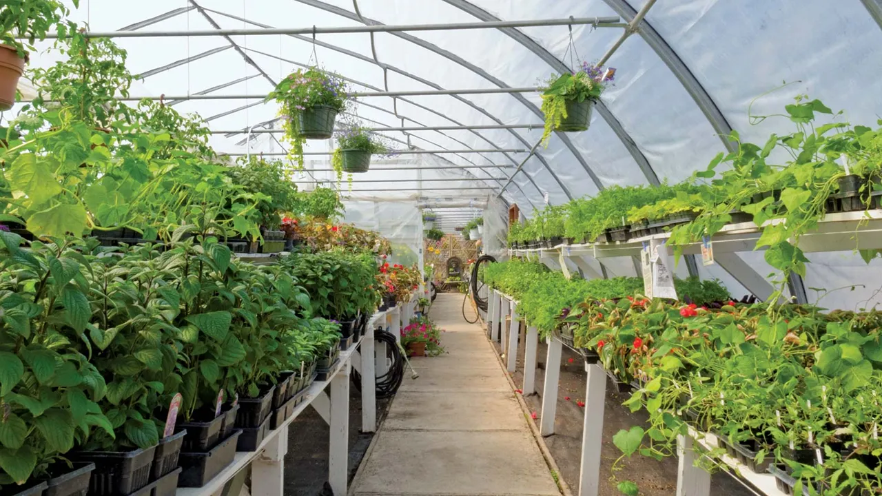 horticulture