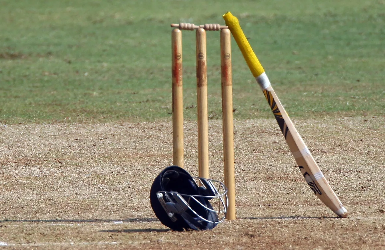 cricket