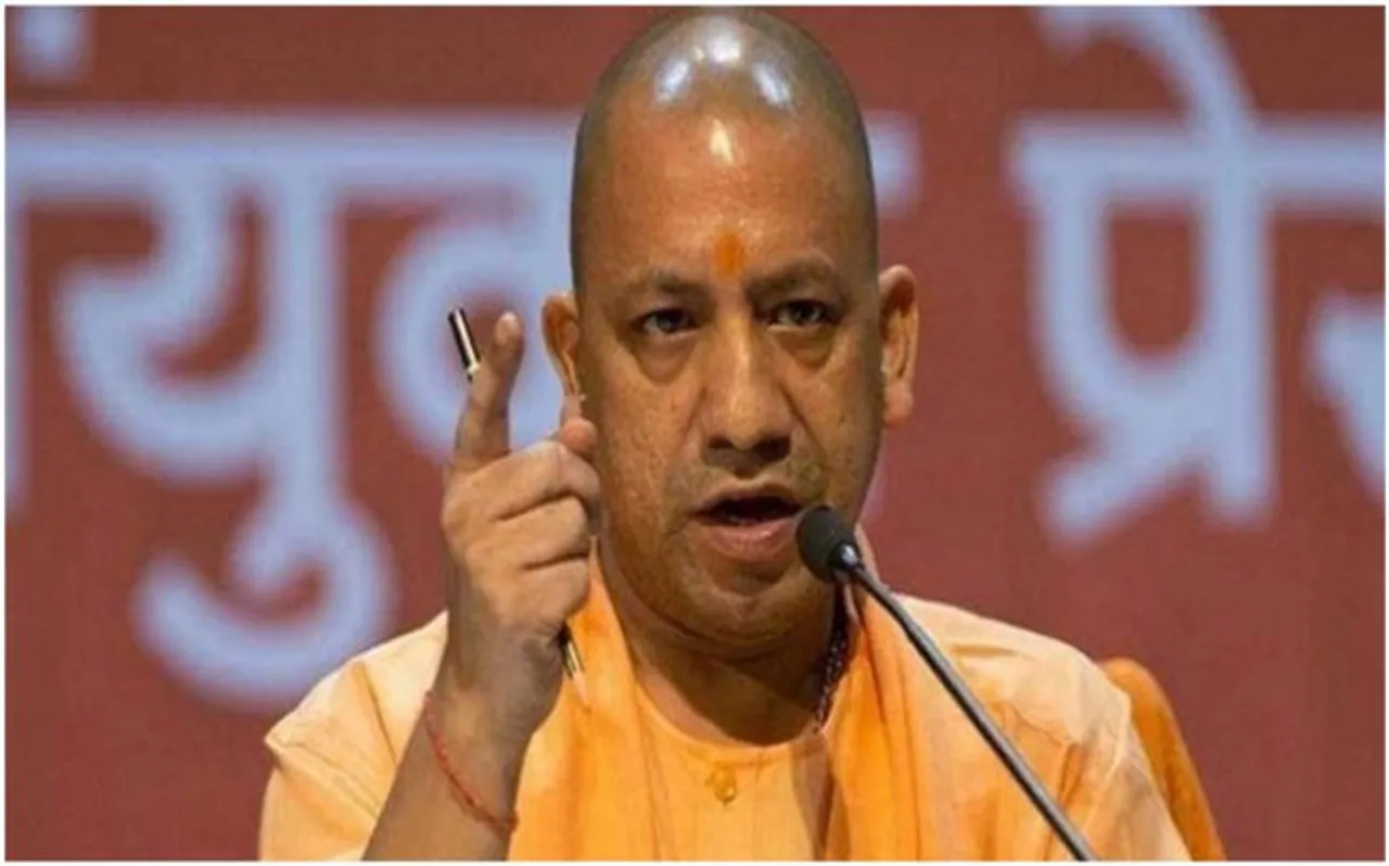 yogi