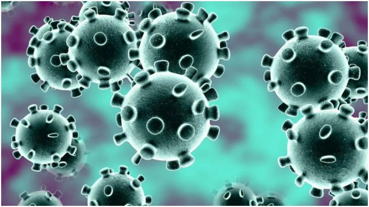 coronavirus