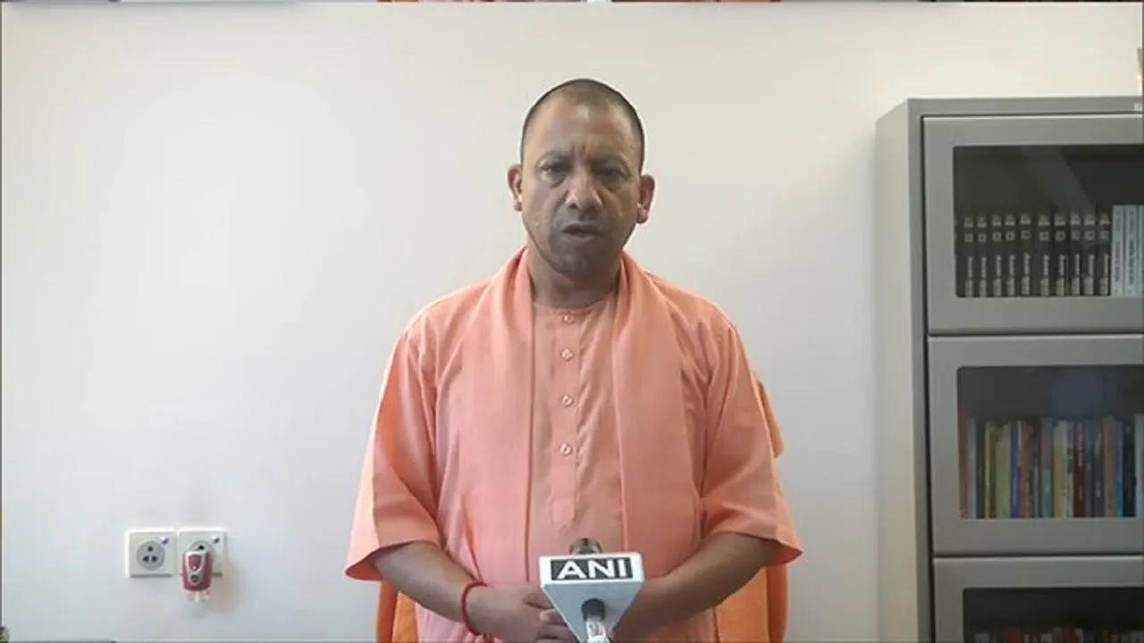 yogi