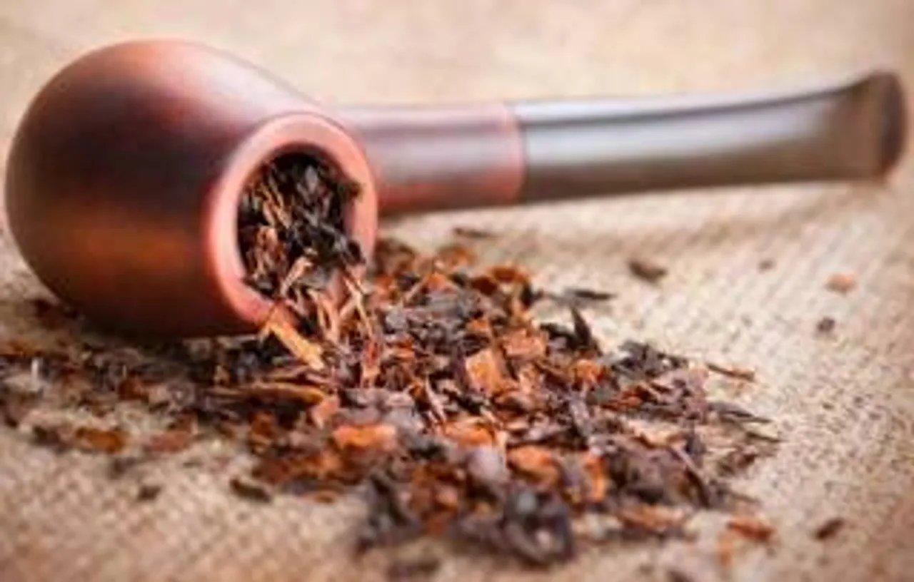 tobacco