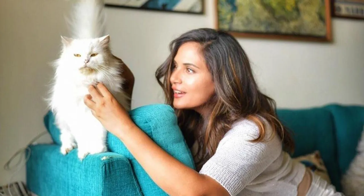 richa chaddha