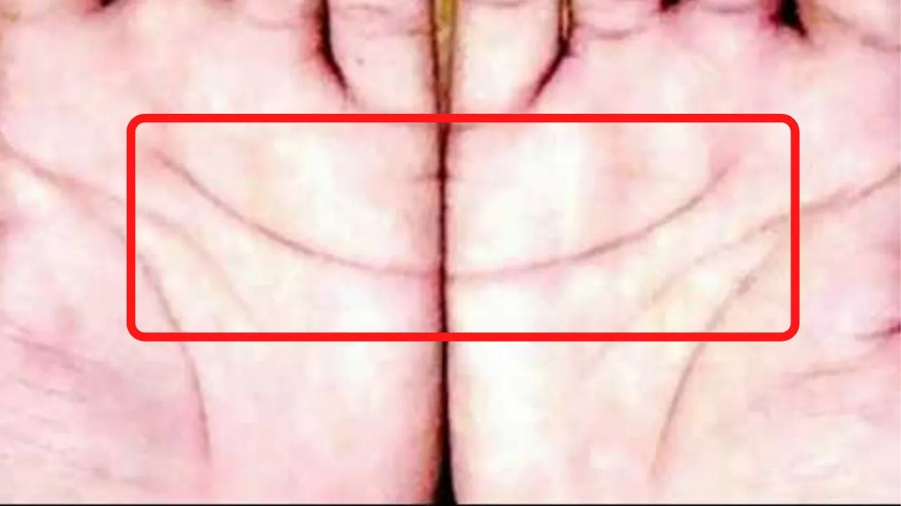 hands