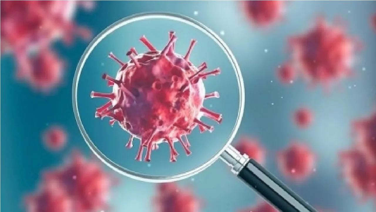 Corona Virus