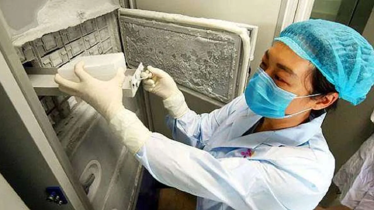 corona virus