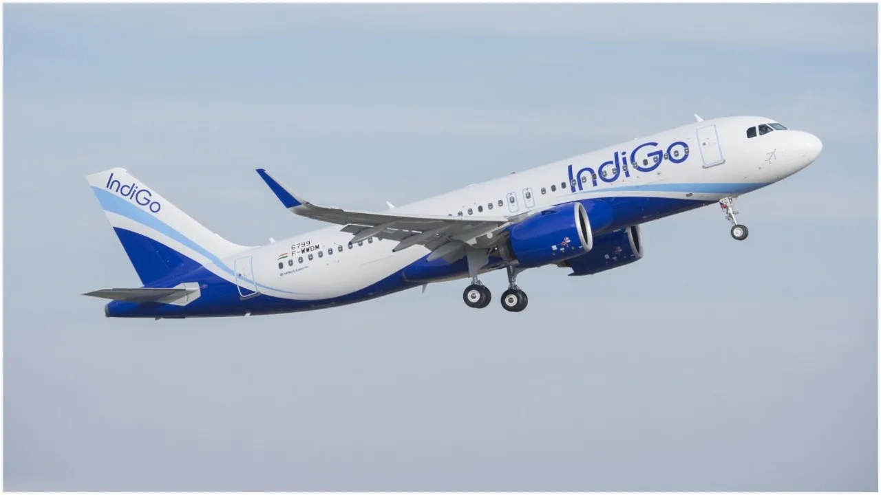 Indigo