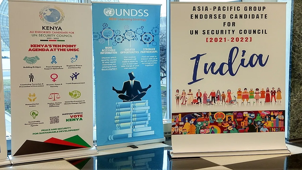 UN Security Council