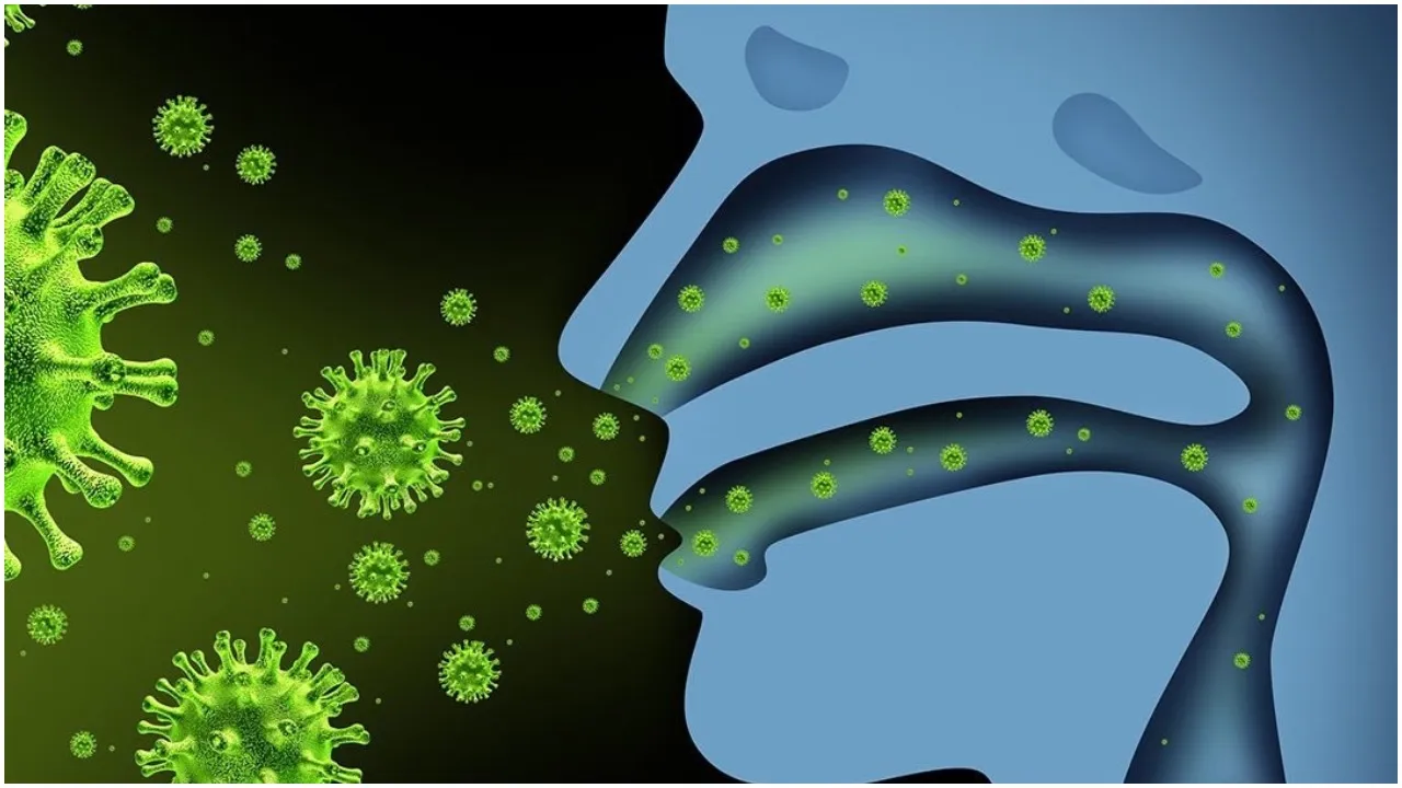corona VIrus