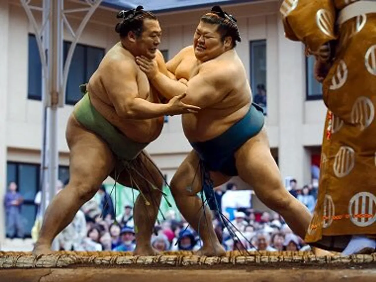 sumo