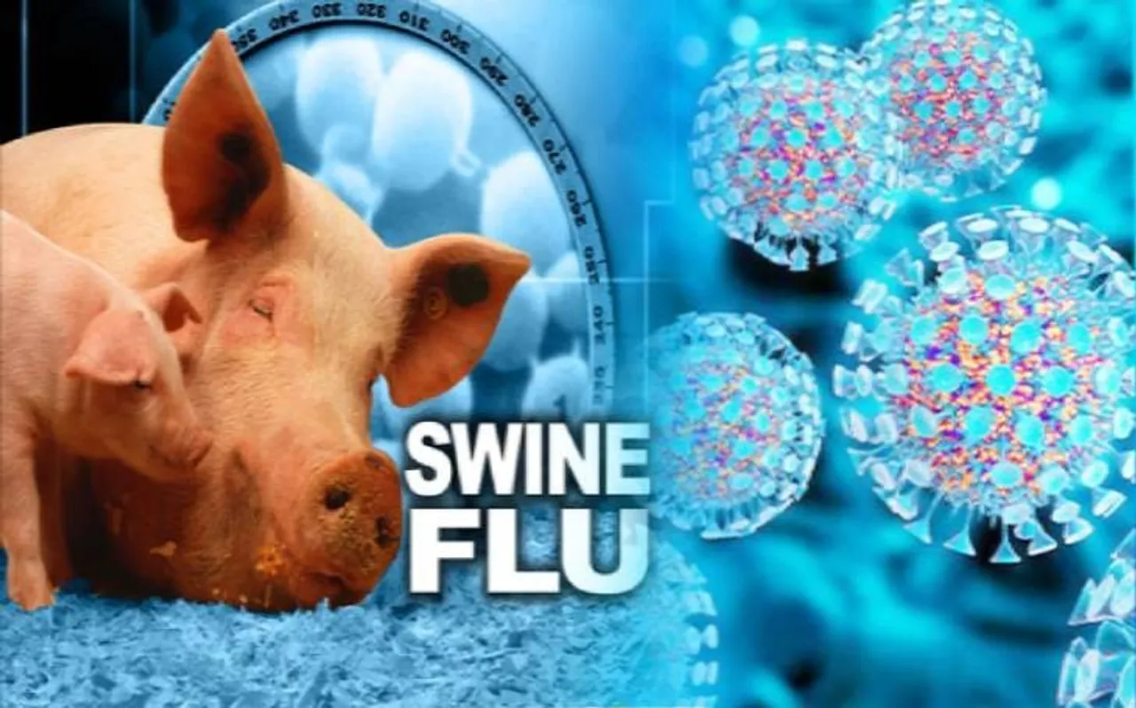 swineflu 42 5