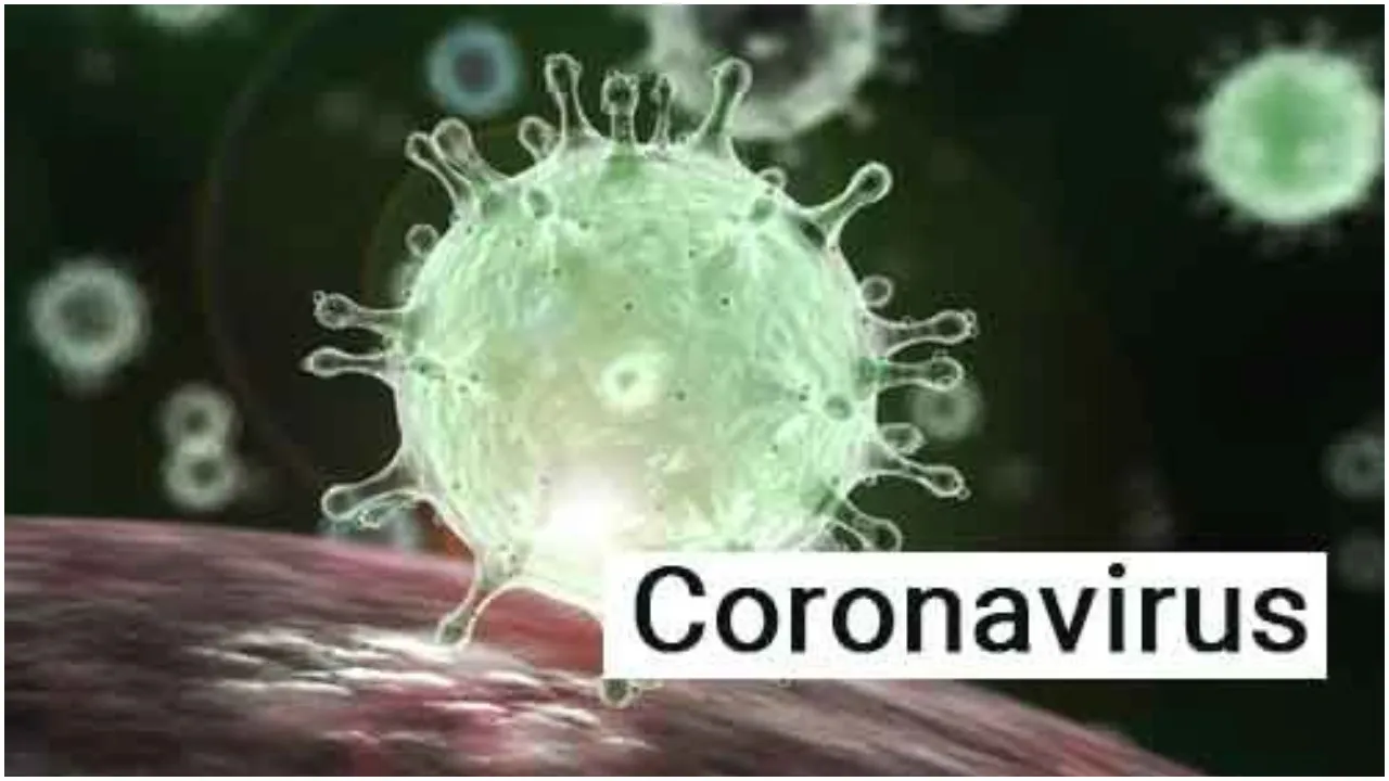 coronavirus