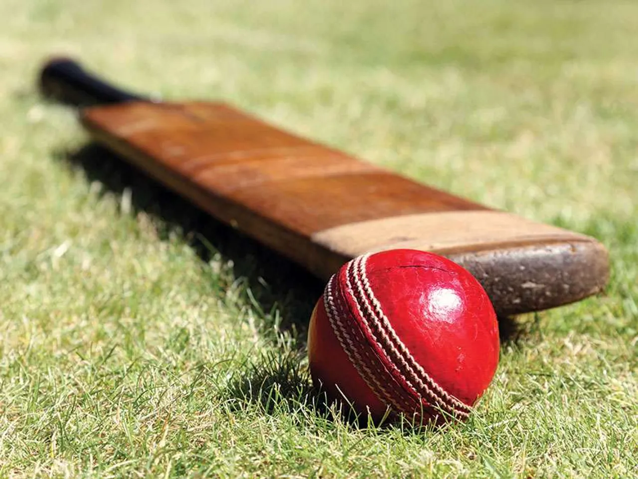 Cricket bat ball