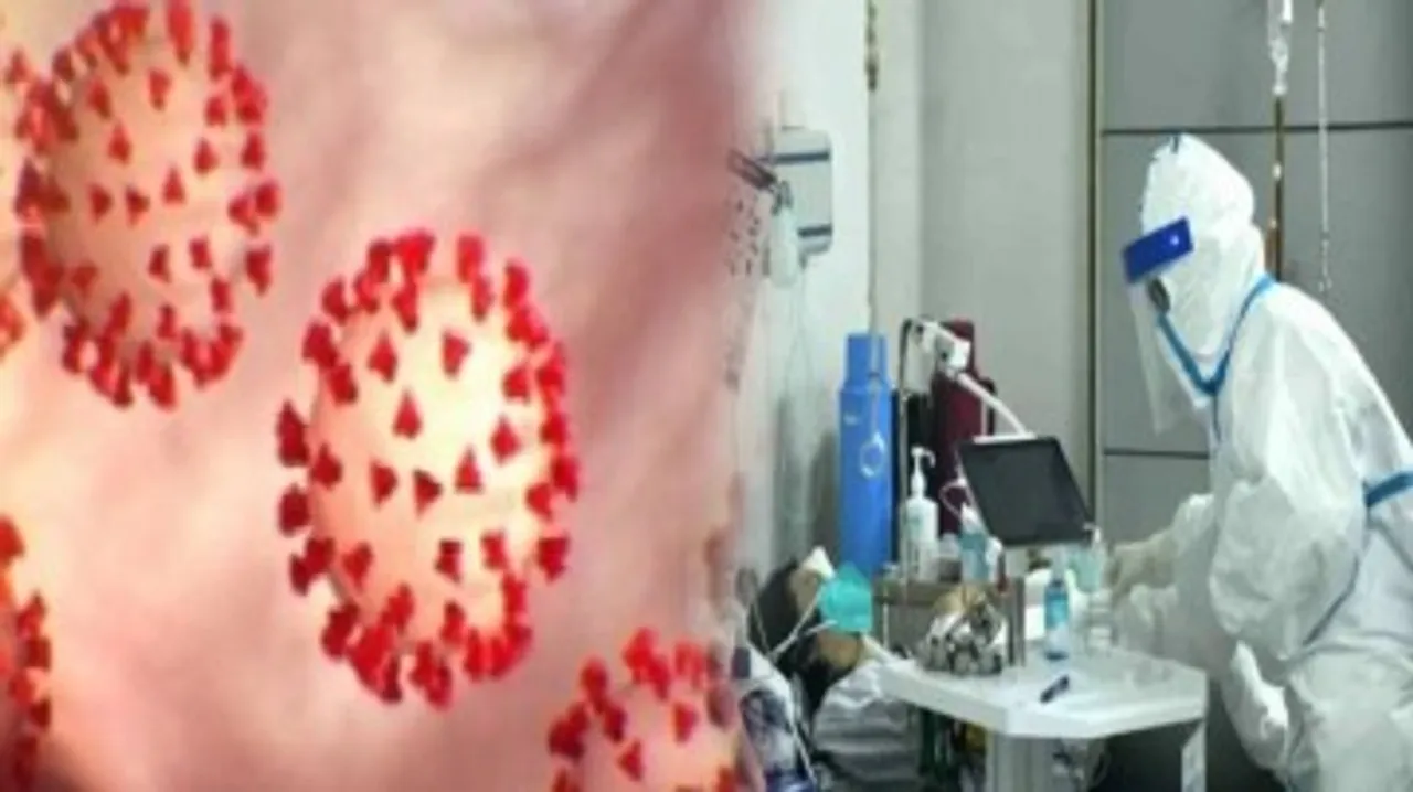coronavirus 42