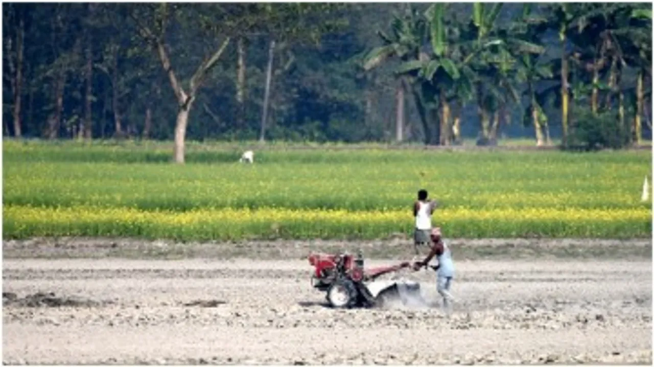 farmer