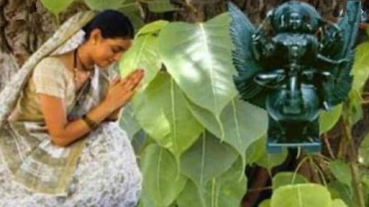 Shani jayanti Vat Savitri