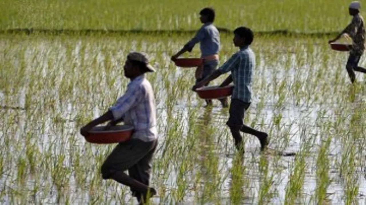 farmers