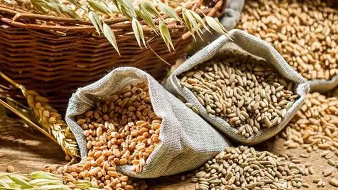 foodgrain