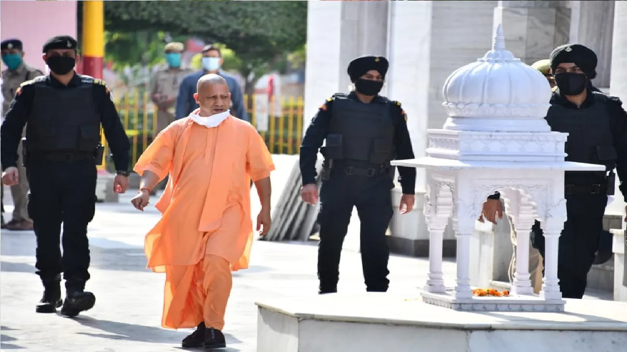 Yogi