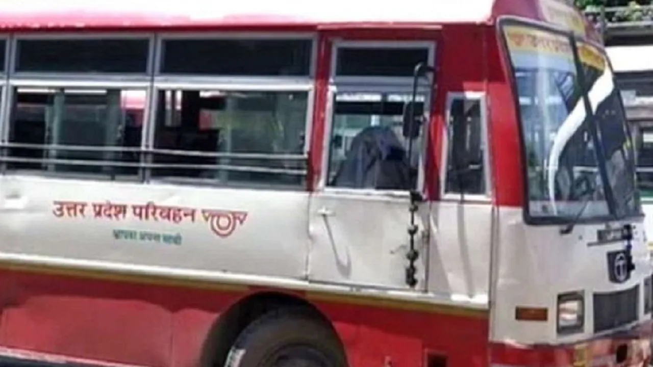 bus