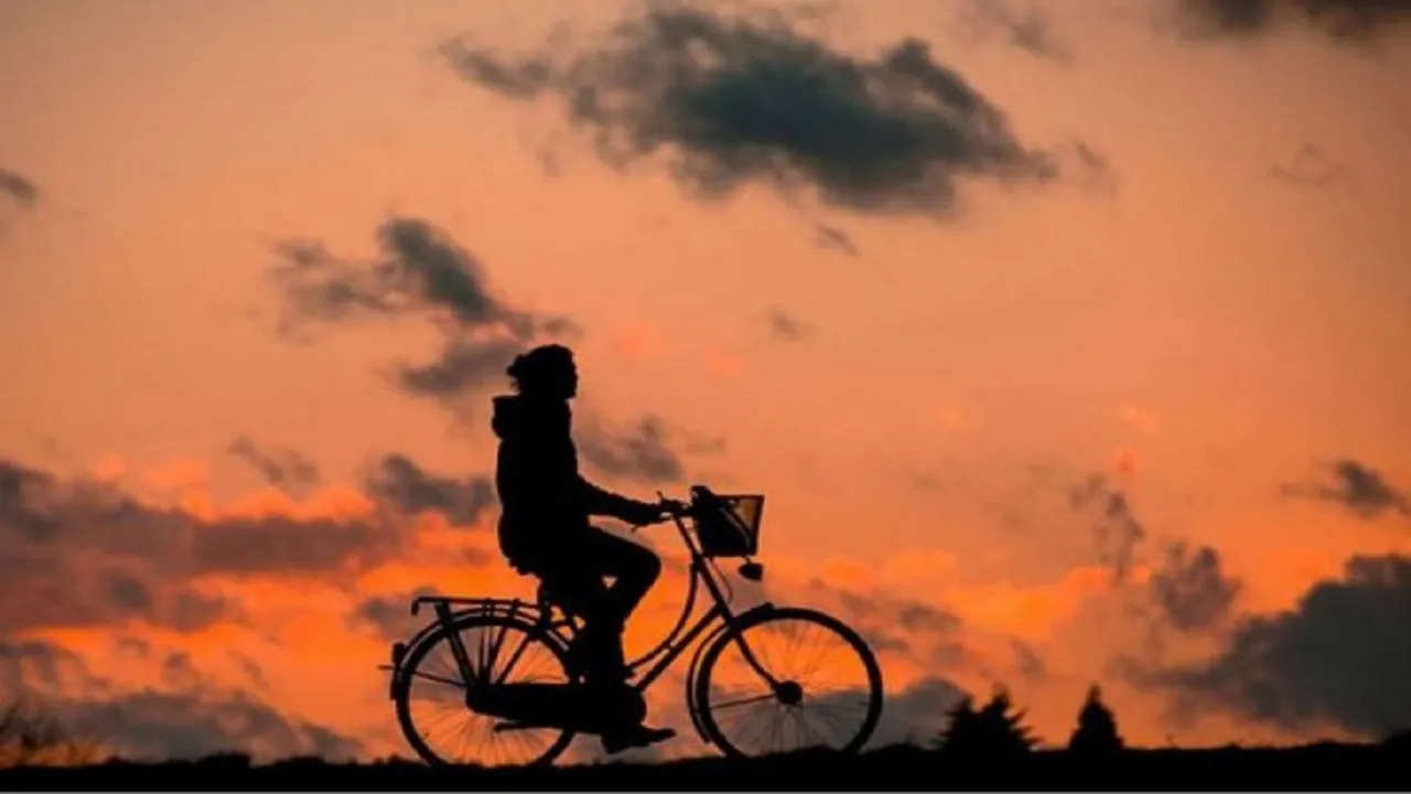 cycle day