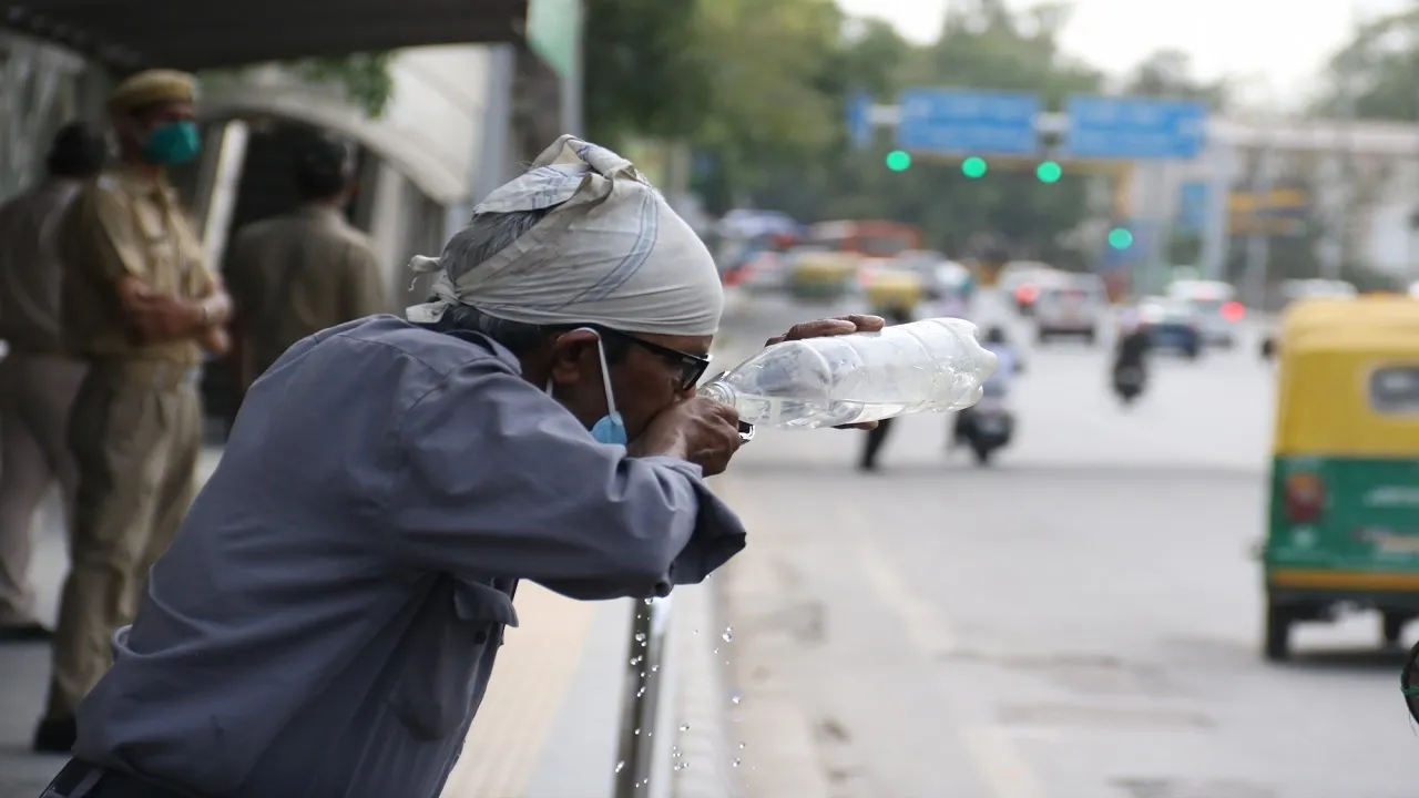 Delhi Heat