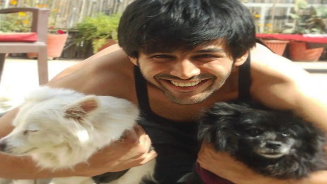 kartikaaryan