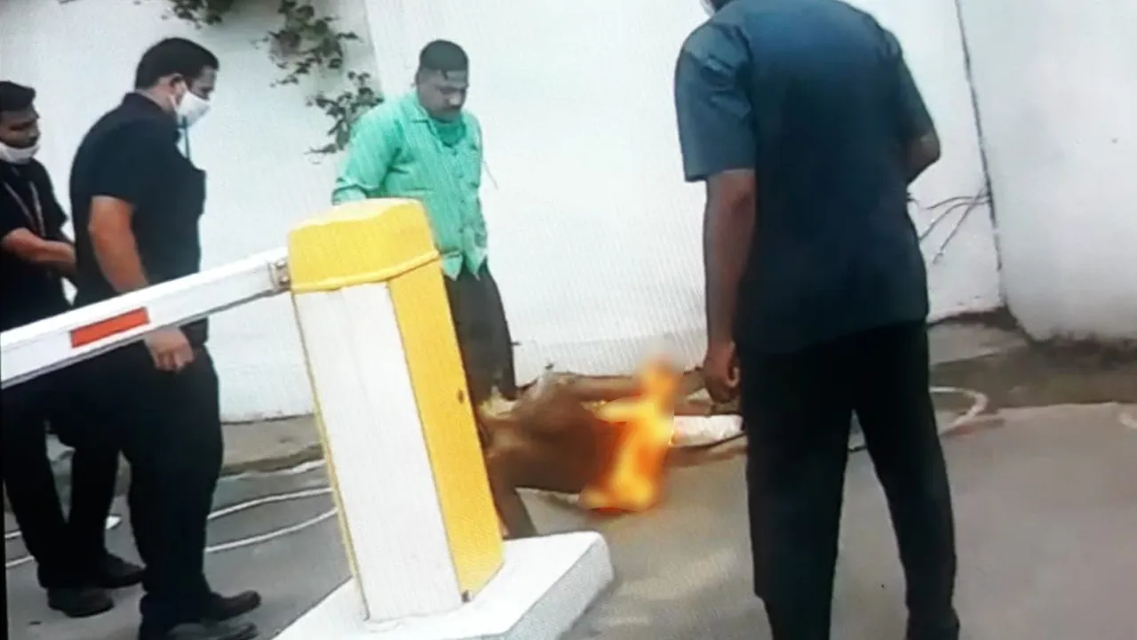 fire