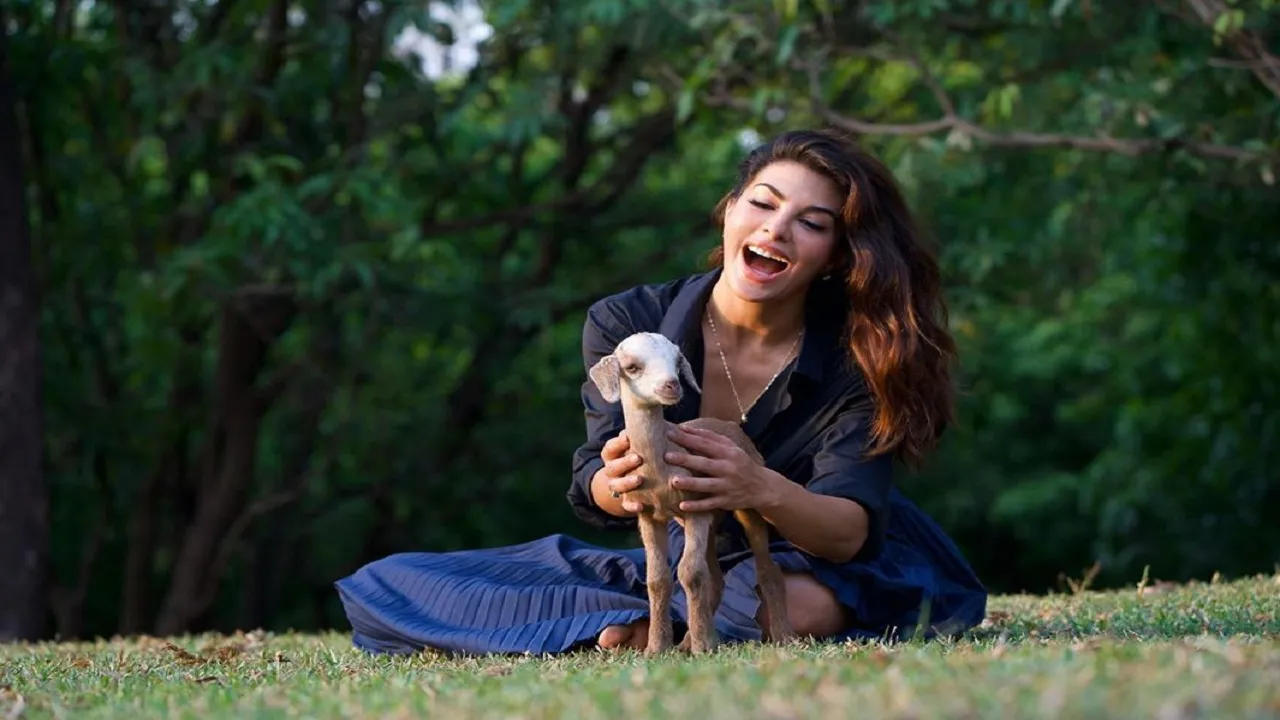 Jacqueline Fernandez