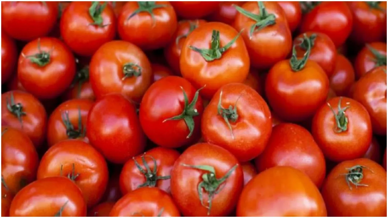 tomato