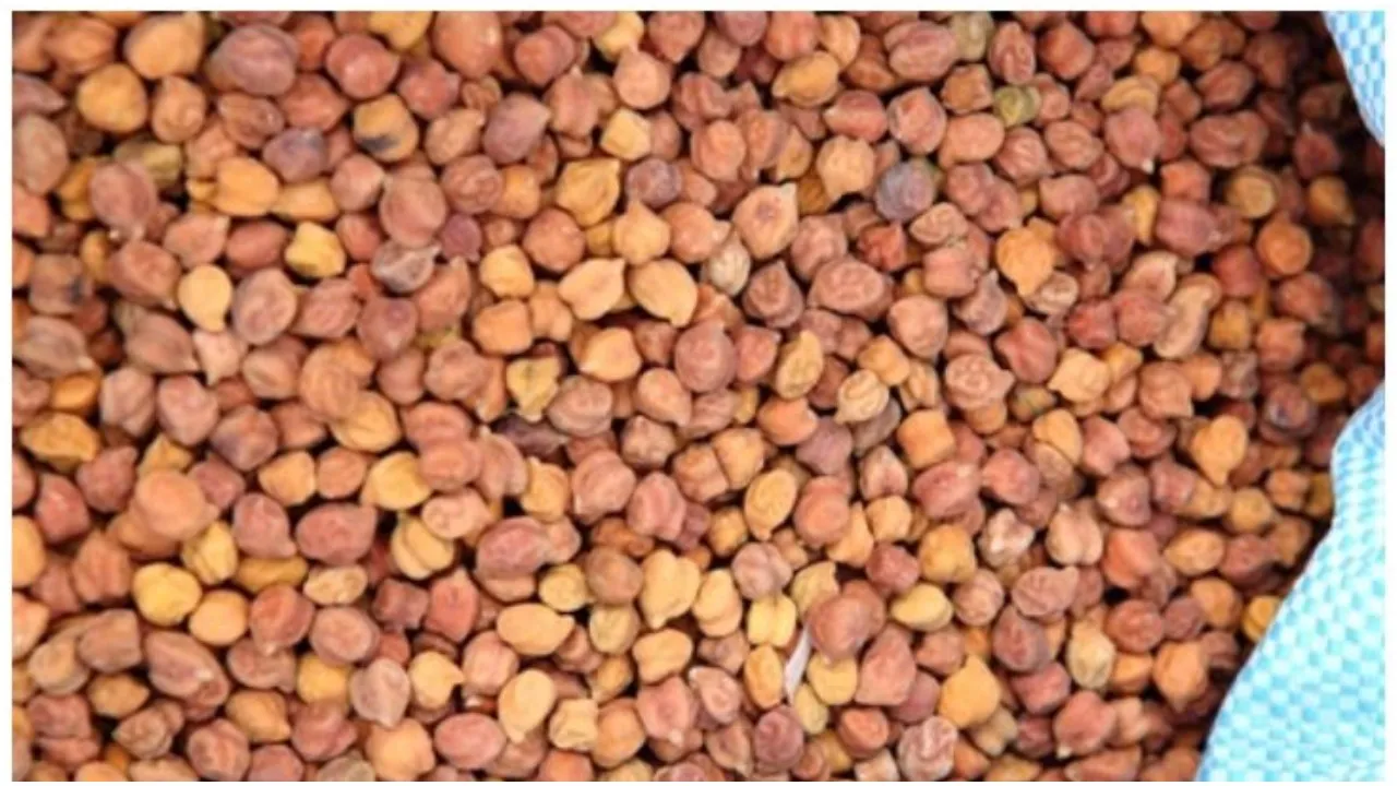 Chana