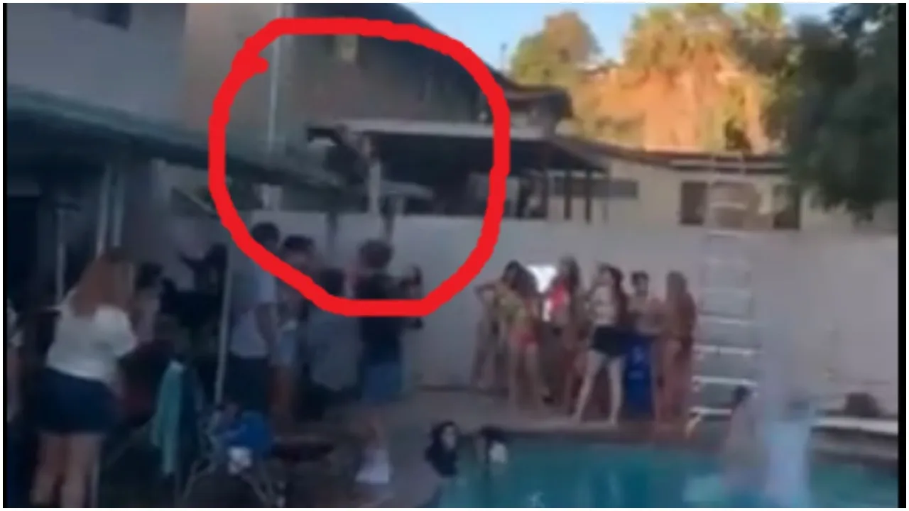 Pool Party
