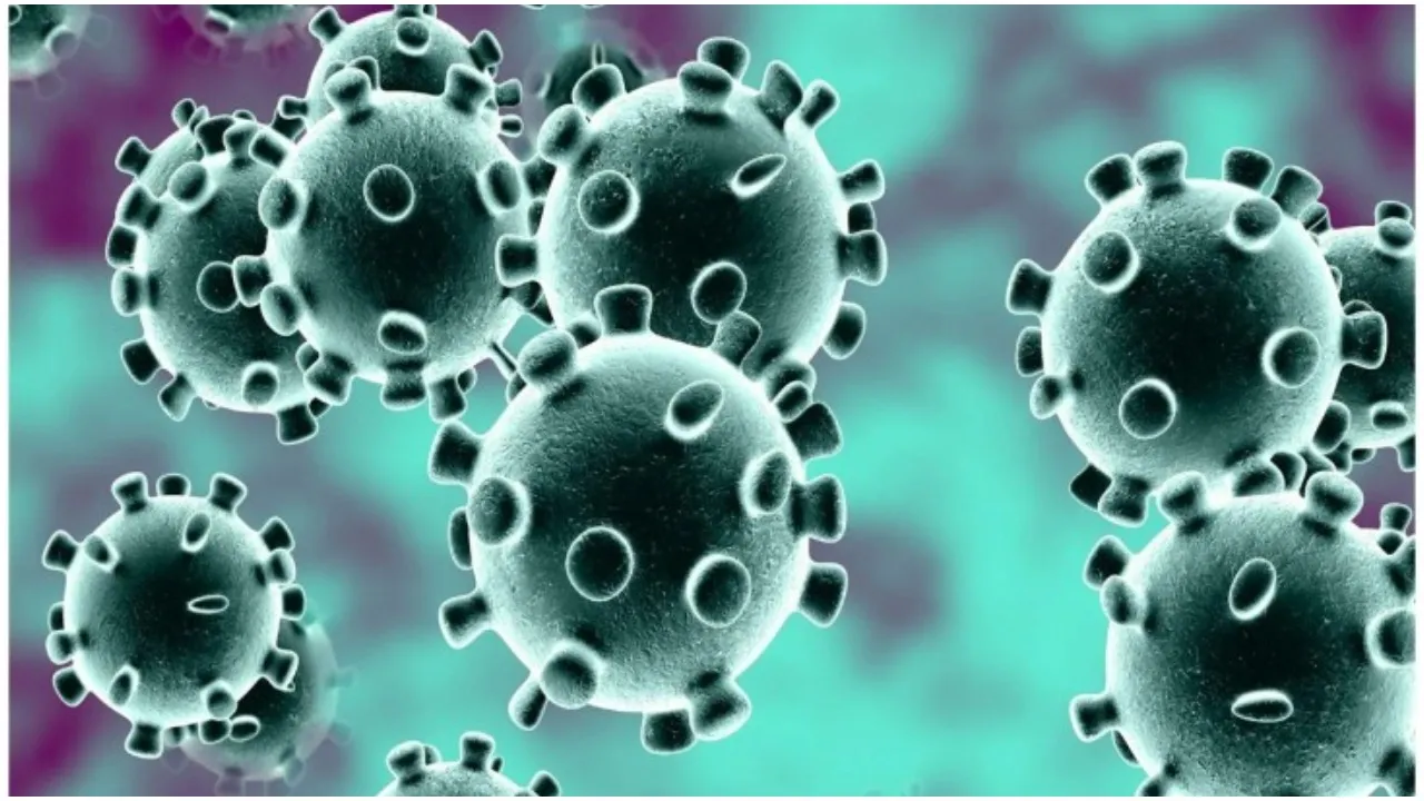 coronavirus
