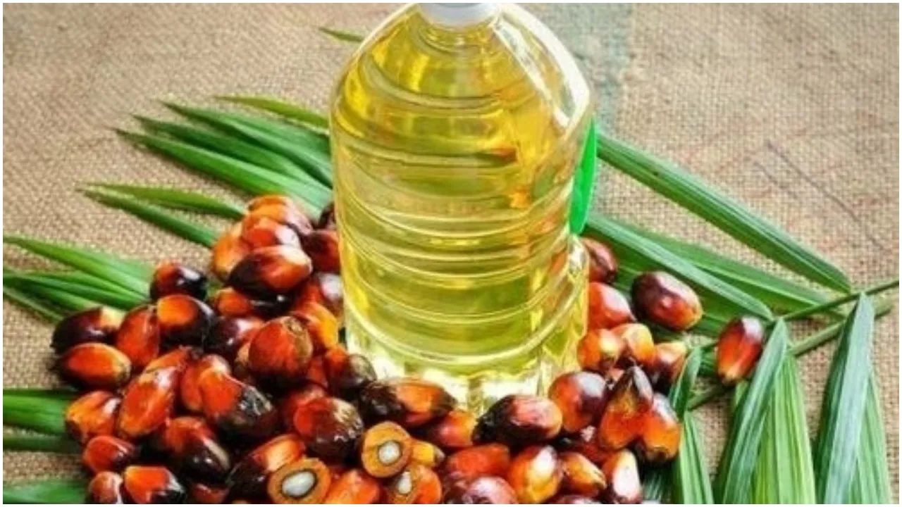 Edible Oil News Update