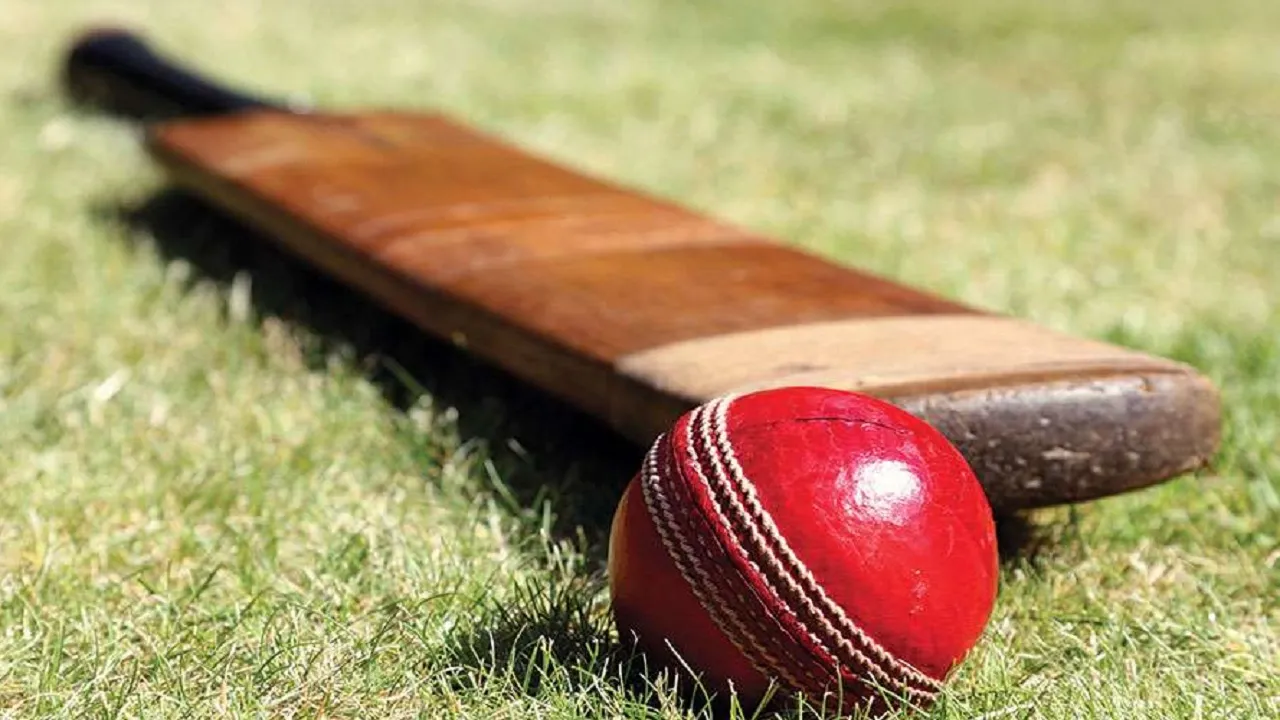 Cricket bat ball