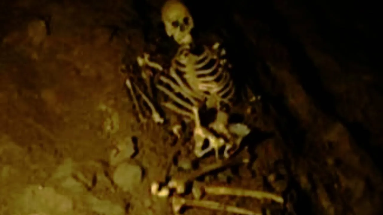 Skeleton