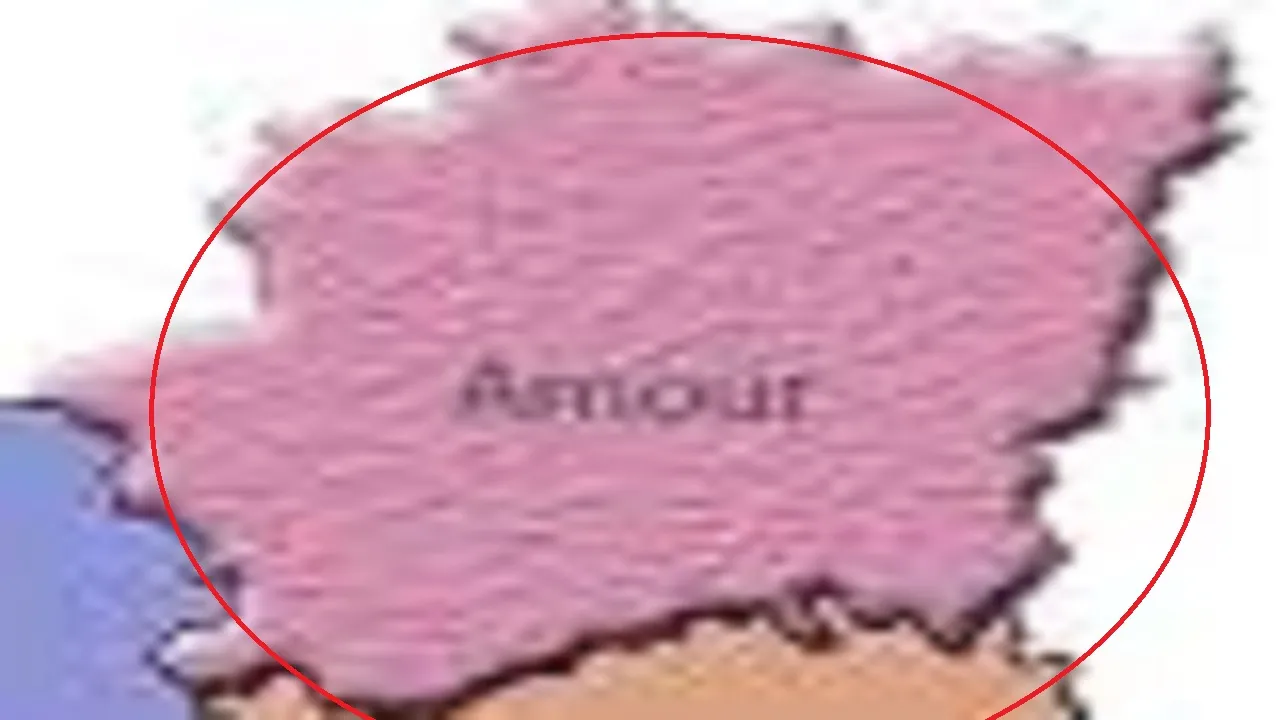 Amour Vidhan  Sabha Constituency