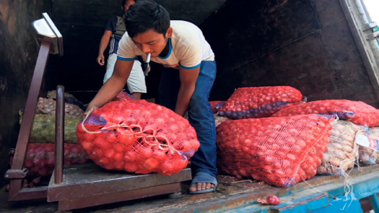 Onion Nepal