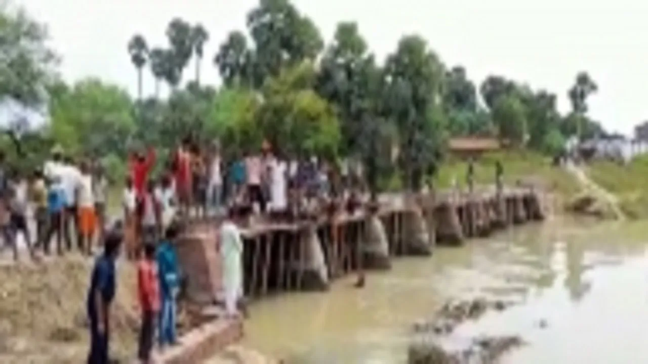 Gaya