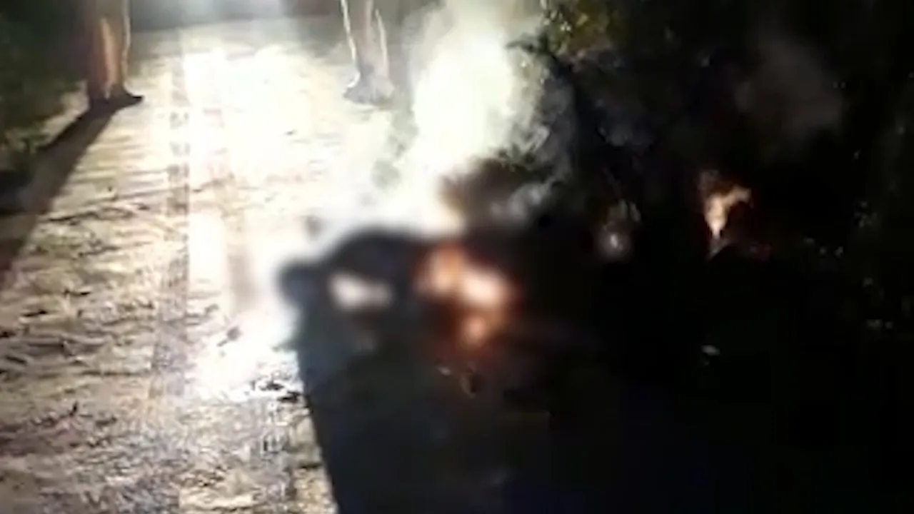 Sikar video