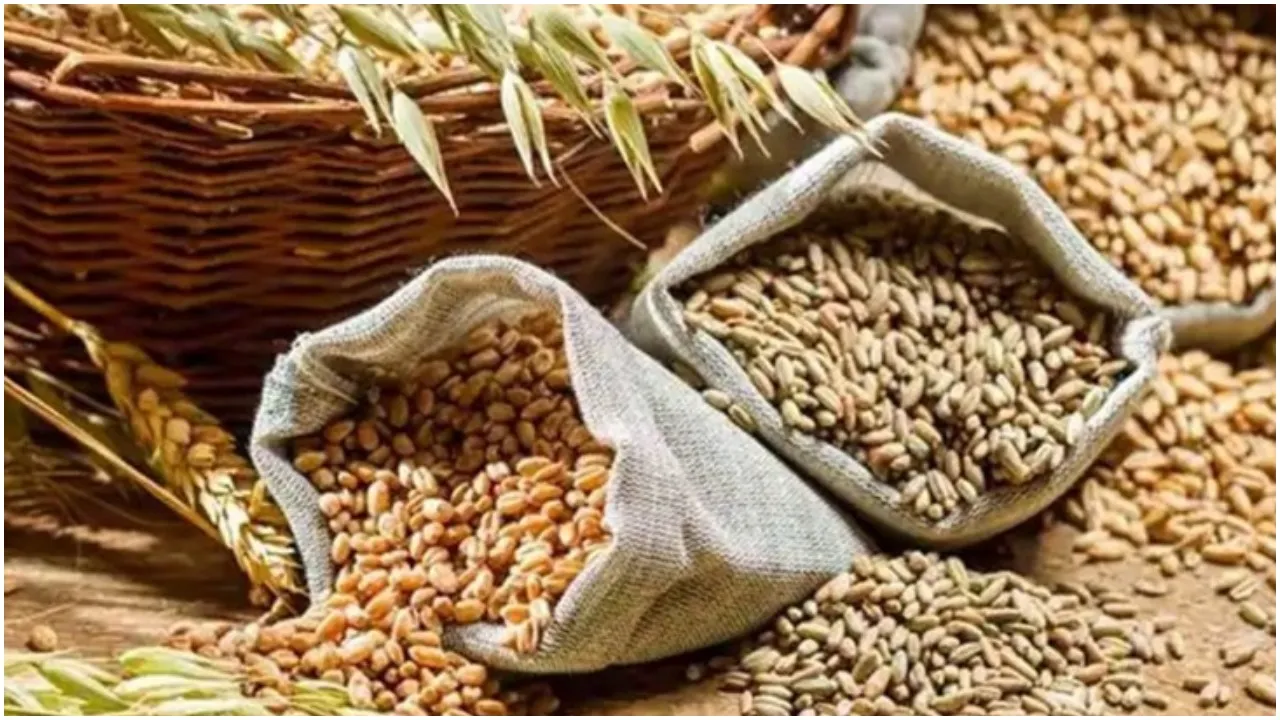 Foodgrain