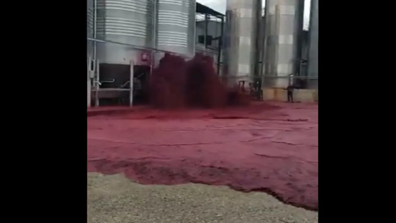 red wine