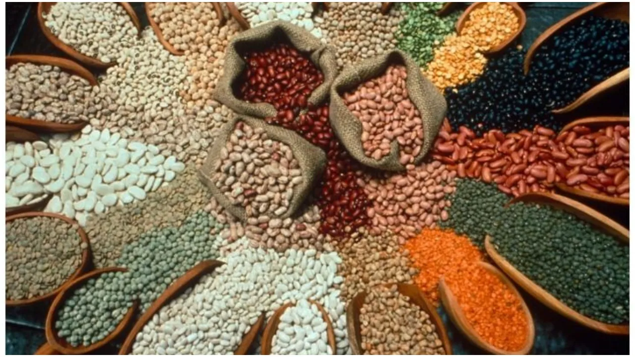 pulses