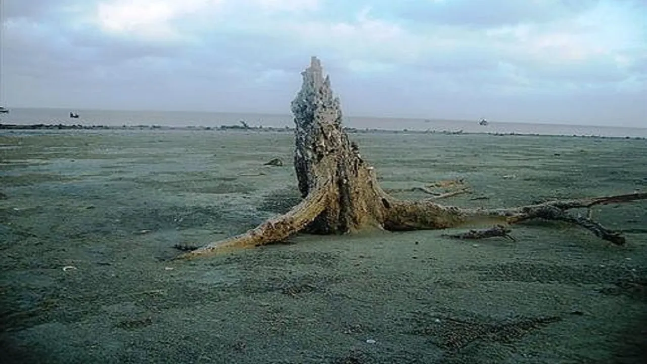 Bundal Island
