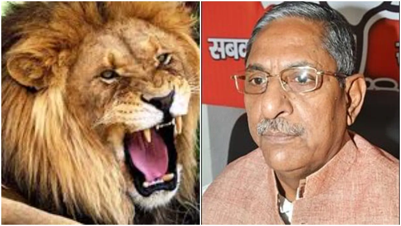 Lion  Nand kishore Yadav