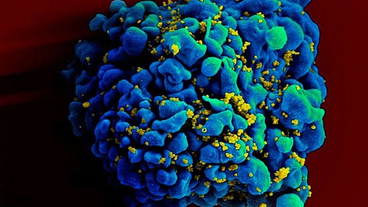 Noroavirus