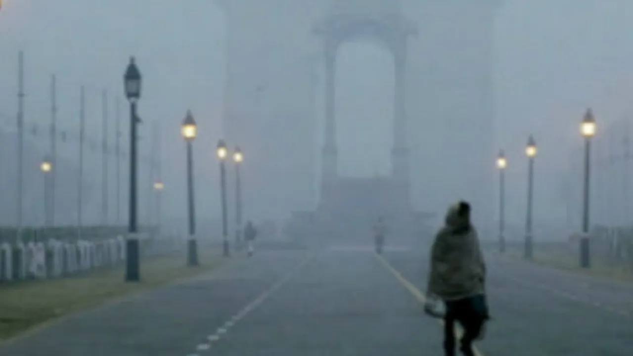 Delhi Cold